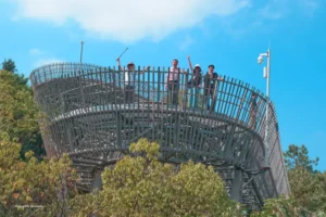 20241028 ttoa fuzhou 08