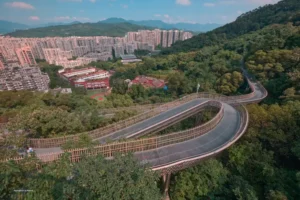 20241028 ttoa fuzhou 09