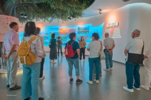 20241028 ttoa fuzhou 29