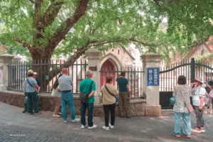 20241028 ttoa fuzhou 33