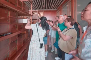 20241028 ttoa fuzhou 39