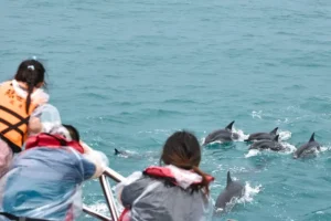 20250925 ttoa trip 06